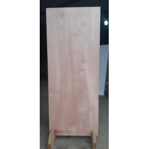 Puerta Terciado Liso